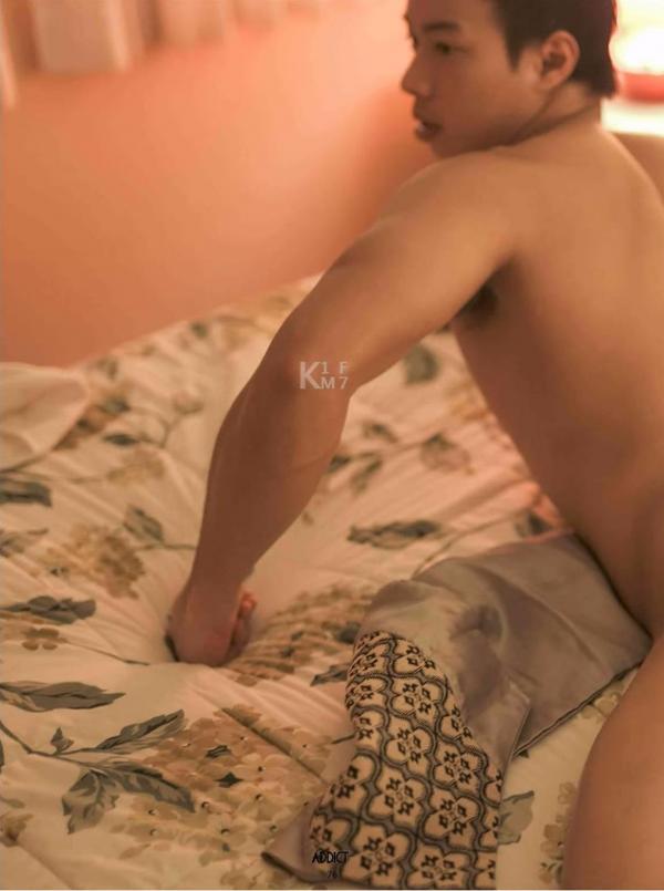 Addict--The-Premium-Issue